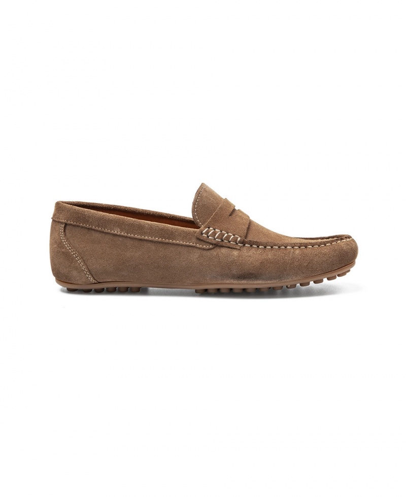 Mocassins Les Tropeziennes GASPARD Taupe Suede Homme|OKXB-51647455